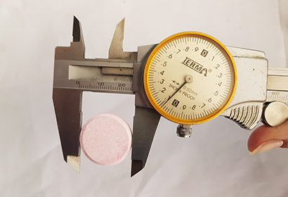 ZPW Series Rotary Tablet Press6